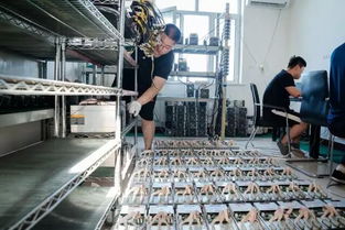 鄂尔多斯向所有人敞开了大门,其中就包括比特币矿工神秘的掘金生活